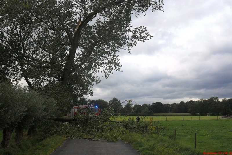 Boom dreigt te om te vallen Blaakweg.